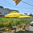 맥금동까페 이미지