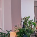 (주)리노메드 이미지