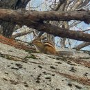 속초여행 후기! 이미지