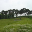 동래정씨 영의정 정원용 묘 이미지