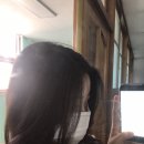 아라바바 이미지