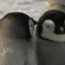 초원양꼬치 이미지