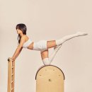 와우휘트니스 이미지