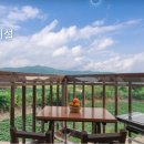 라파밀리아 이미지