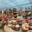 일오삼 농장 이미지