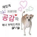 철산감자탕분점 이미지