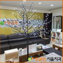 산타클로스치과의원 | 방글원서울치과 크리스마스에는? 크리스마스 트리를!