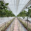 경제농장 이미지