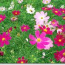 3번출구부동산공인중개사사무소 이미지