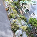 돌담요양병원 이미지