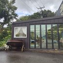 애견시선 이미지