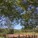 탑정호예가펜션 이미지