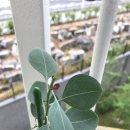 슬기로운 초록생활 이미지