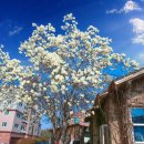 카페5번지 이미지