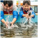 수미농장 | 2025 양평빙송어축제 완벽 가이드: 얼음낚시부터 맨손잡기, 수미마을 체험까지