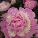 관악산현대홈타운 이미지