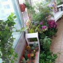 실과바늘 이미지