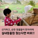 서창남순환로 | 인천 실내동물원 쥬벅스 서창 후기, 방학에 어디 갈까 고민될 때 인천 실내 가볼만한 곳