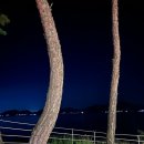 여여담 | 남해 여행 프라이빗 숙소 추천 :: 여여담 / 때깔로무역 / 하퍼스퀘어 / 젤라또