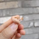 세종보청기 이미지