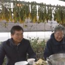 박규철농장 티스토리