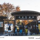 순천만습지 | 전남 순천 가을 여행지, 순천만습지 방문 후기 순천 일몰 명소