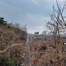 상화농장 네이버블로그