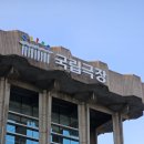 진호개발 | 국립극장 뮤지컬 추천 천개의파랑 진호 효정 직관 후기 지연관객 주차