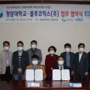 스튜디오 블루 이미지