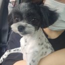 몽몽솔솔 이미지