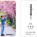 더원태권도 | [행사 촬영] &#39;WE ARE ONE 태권도 페스티벌 in 호반체육관&#39; 태권도 발표회 사진촬영 BY 마실스냅