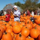 행진농장 이미지