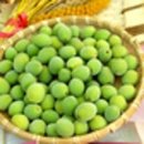 공세리농장 이미지