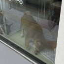 포바PC방 | 여름의 시차 같은 것 ..