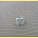 갯벌생태 체험장 이미지