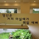 아틀리에빈대평점 이미지