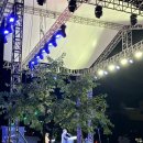 큰지붕닭갈비 | 춘천 막국수닭갈비축제 1~4일차 생생후기 큰지붕닭갈비 &amp; 통나무집닭갈비 포장 비교 포함