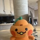 호텔빠레브 | 프리미엄 트윈 오션뷰, 제주 빠레브호텔 내돈내산 후기