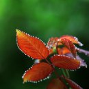 전국환경 이미지