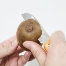 썬 이미지