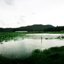 산포홍련마을 이미지