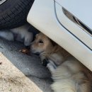 말리오션스파 이미지