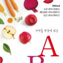 제주노몰