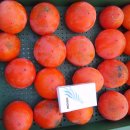 기수농장 이미지