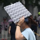 소나기성인용품 이미지