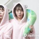 토리토리 이미지