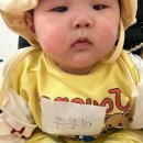 (6개월) 대전 유성점 홈플러스 문화센터 후기