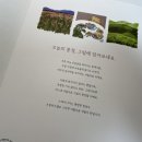 함께 그리는 색연필 일러스트 이미지