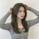 헤어보그 이미지