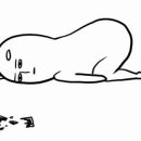 치항병원 이미지